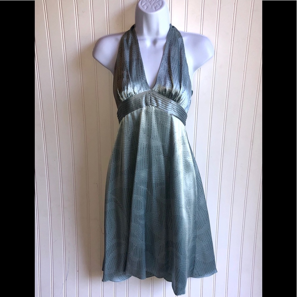 NWT BCBG MaxAzria 100% silk dress
